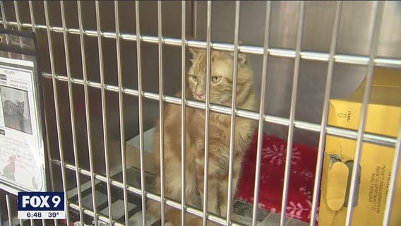 Animal Humane Society to close to the public through May