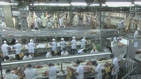 Tyson Foods consolidates corporate offices, leaves Chicago