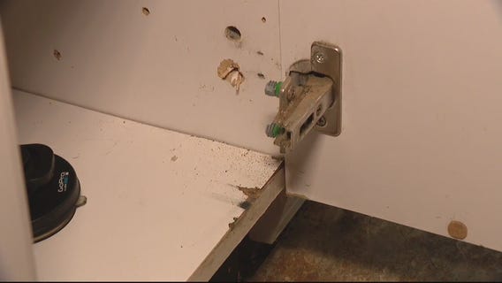 Jill of All Trades: Tackling your home's problem hinges