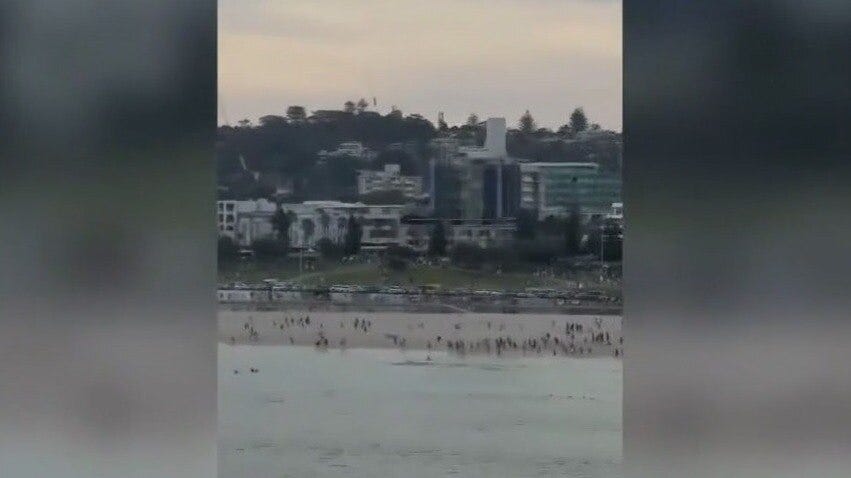 Antisemitic attack at Hanukkah celebration kills at least 15 at Bondi Beach