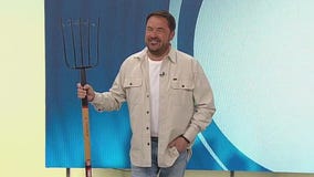 Essential garden tools for spring