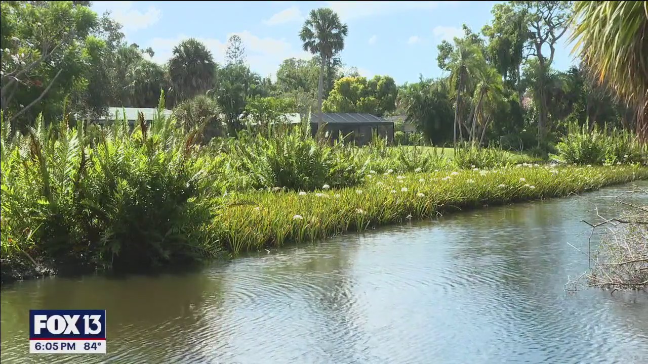 Army Corps of Engineers gives greenlight to dredge Phillippi Creek