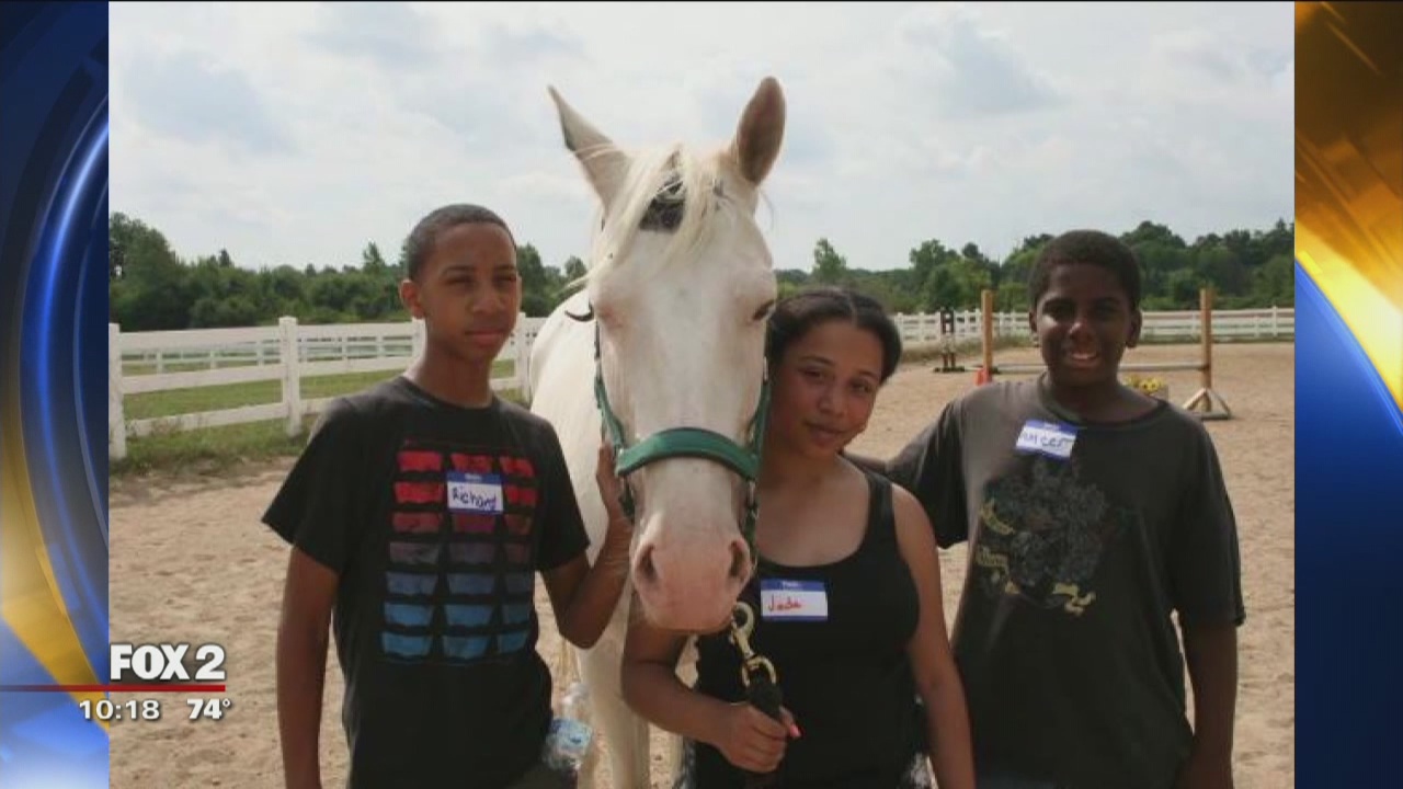 Detroit Horse Power at Michigan State Fair