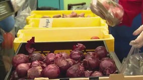 New SNAP requirements now in effect