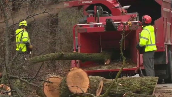 Chicago storm aftermath: Downed trees, flooded streets, and power outages
