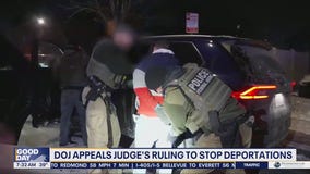 DOJ appeals judge's ruling blocking US deportations