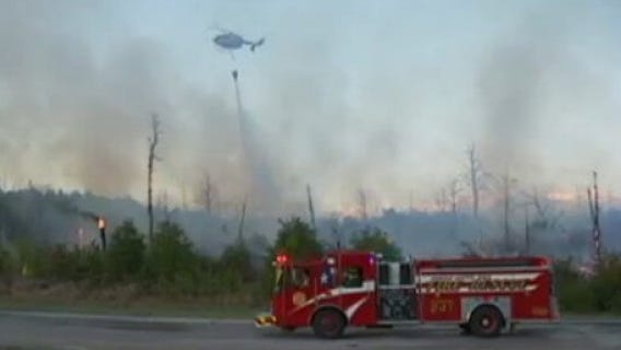 Preventing wildfires