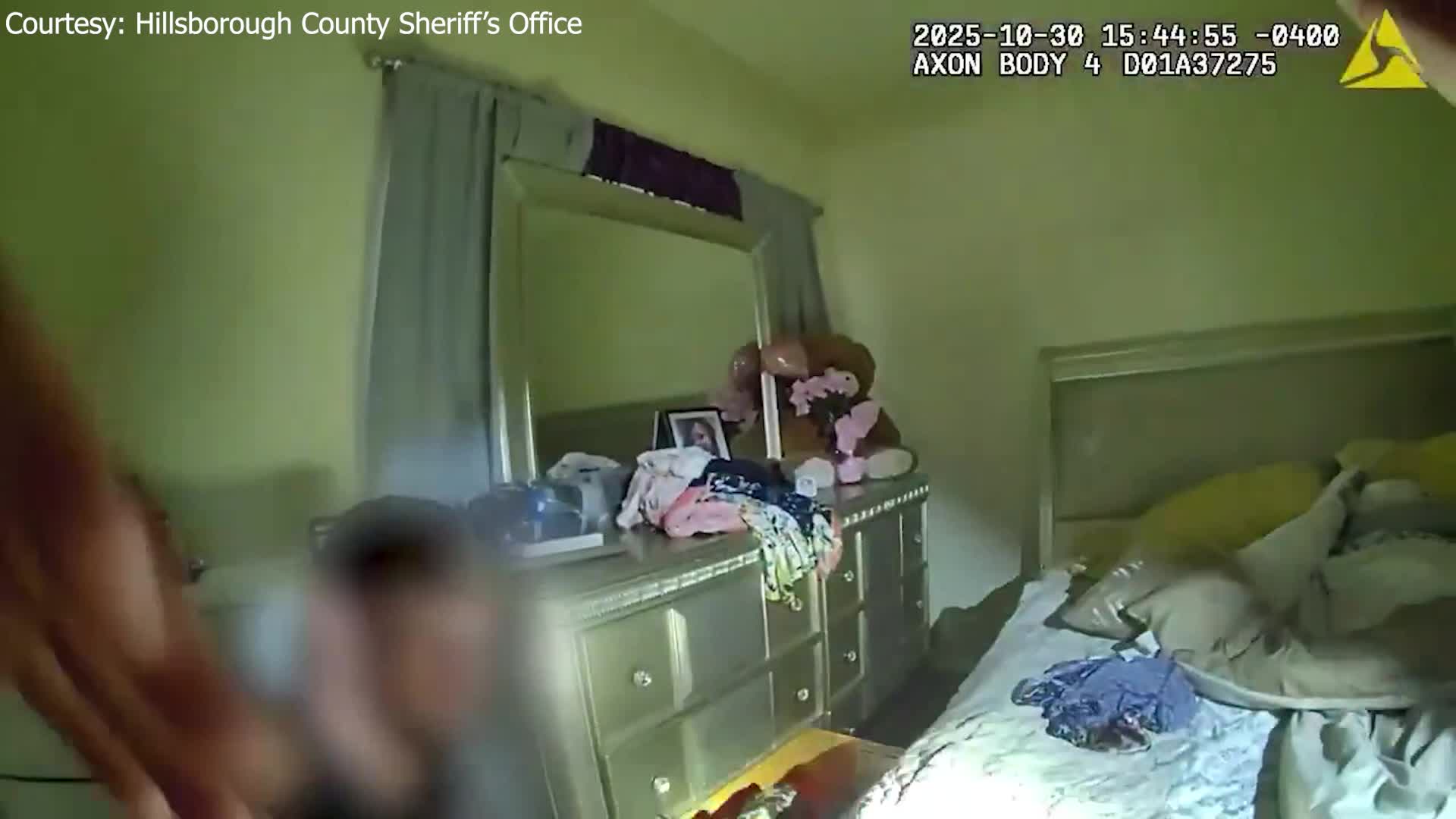 Stolen dog found safe during HCSO search warrant