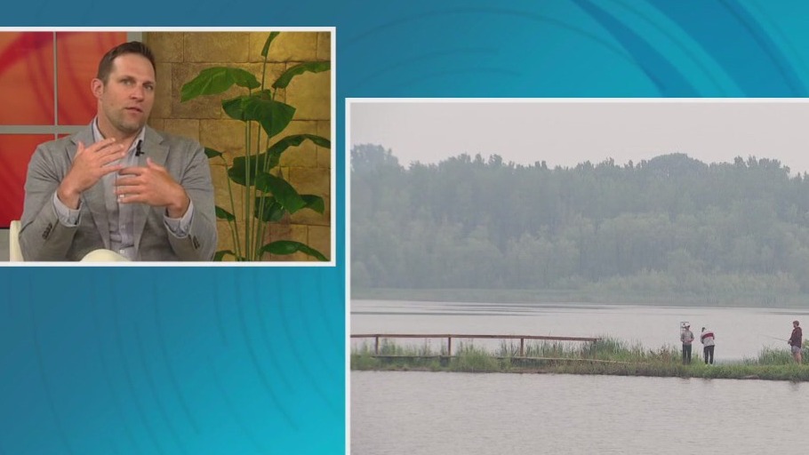 Air quality alert: How to help your pets