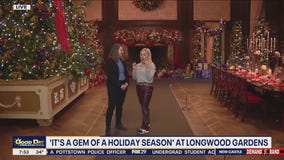 A Longwood Gardens Christmas
