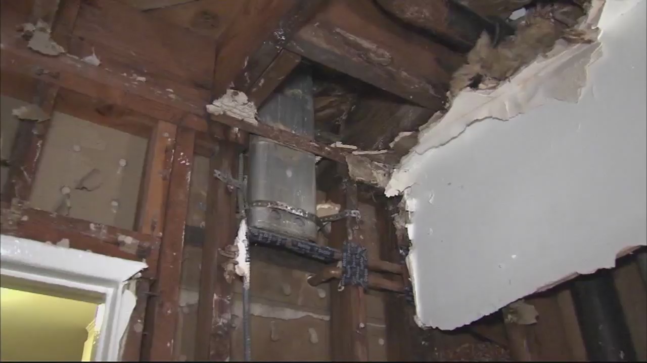 Woman finds mold in her apartment, it's making her sick