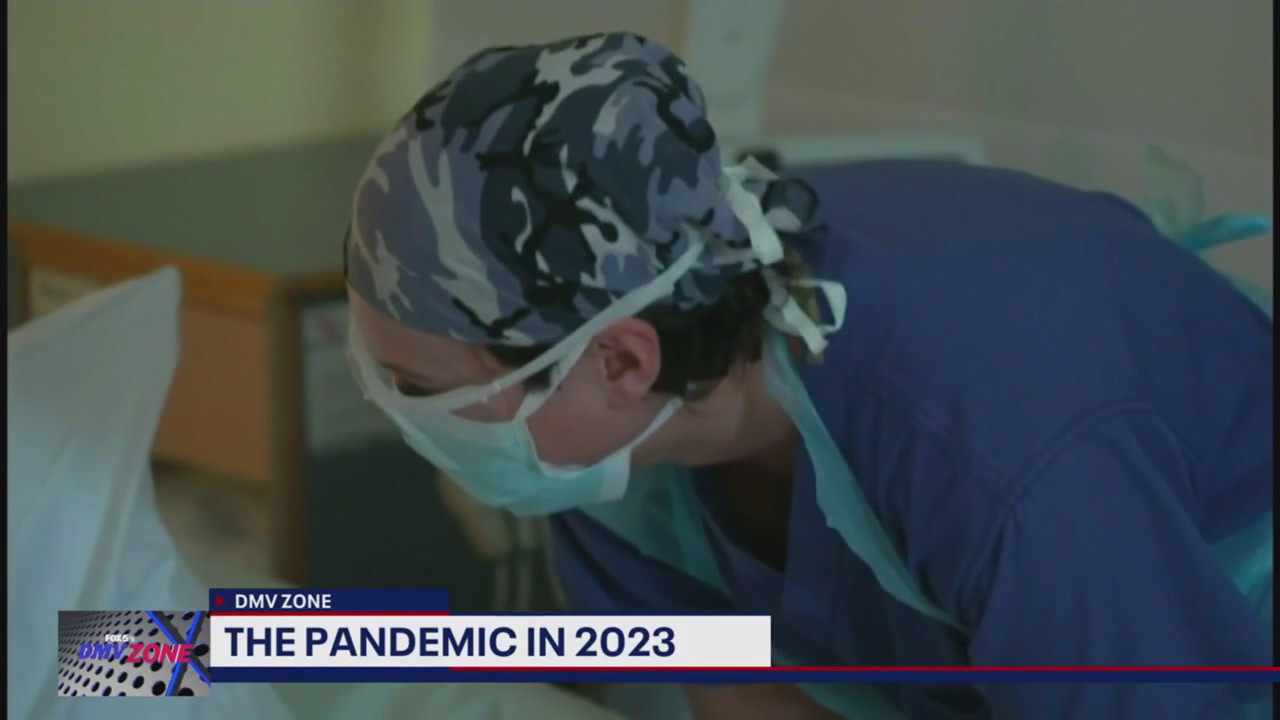 What will the pandemic look like in 2023?