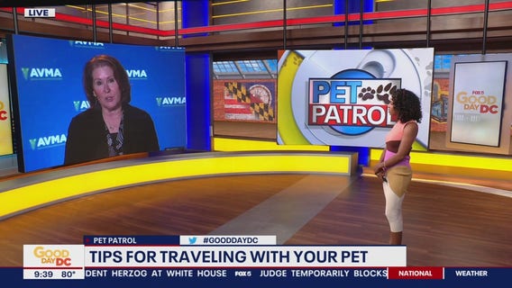 Tips for traveling with your pet