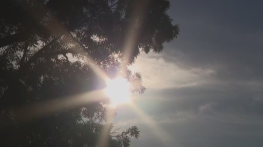 Cool Bay Area summer  finally heats up in August