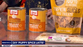 Celebrating the Fall Season with Pet People