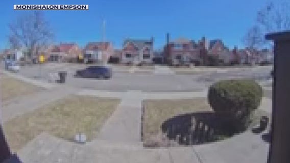 Detroit family searching for dog stolen from outside of home