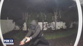 Federal Way homicide suspect still on the run