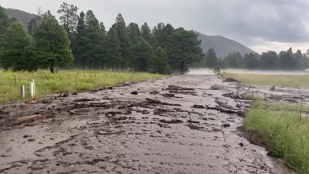 Monsoon rains bring more flooding to Flagstaff | FOX 10 Phoenix
