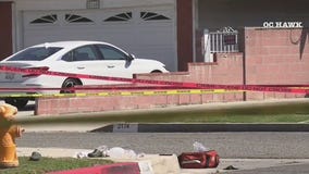 Elderly man killed in unprovoked attack