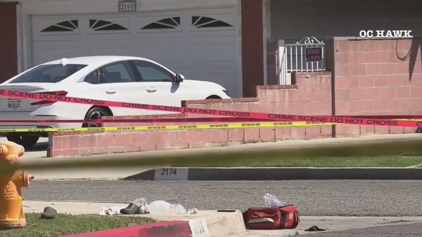 Elderly man killed in unprovoked attack