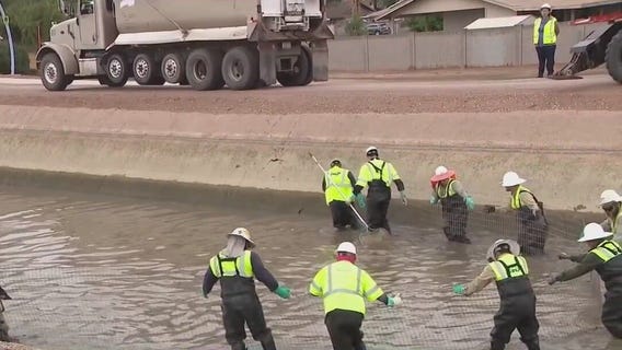 SRP herding, removing fish for 30-day project