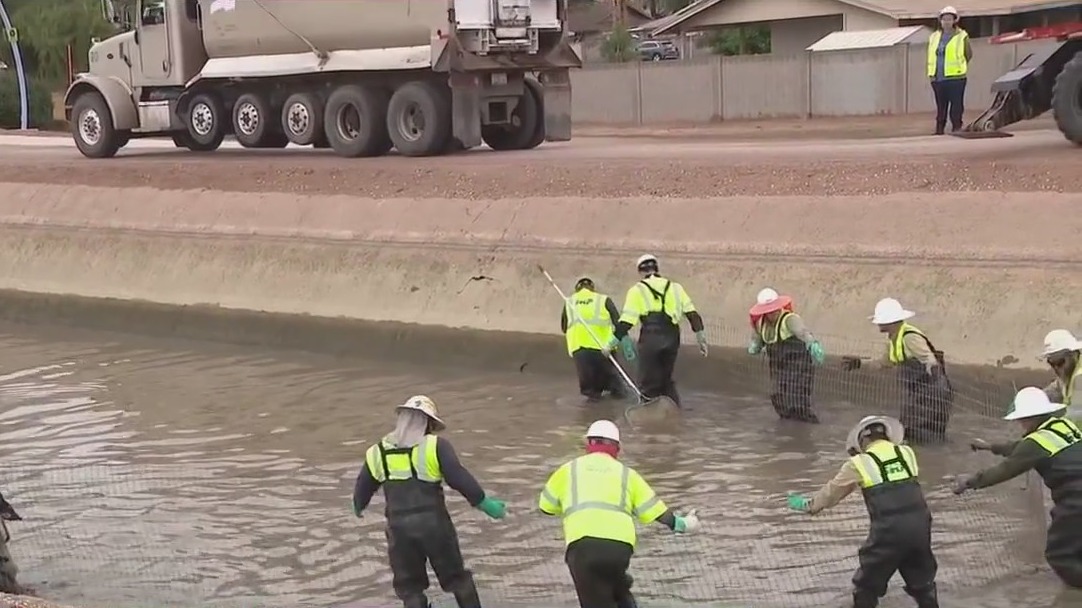 SRP herding, removing fish for 30-day project