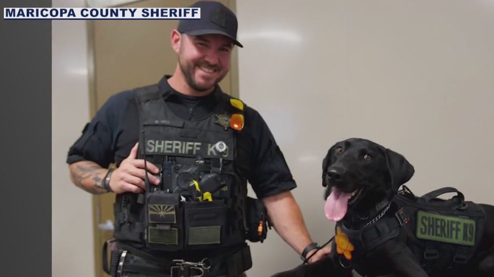 K-9 Max recovers after fentanyl exposure at MCSO jail