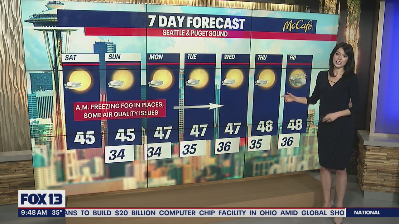 A sunny week with foggy mornings in store