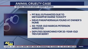 Dog dies after meth exposure, Arizona owner wanted