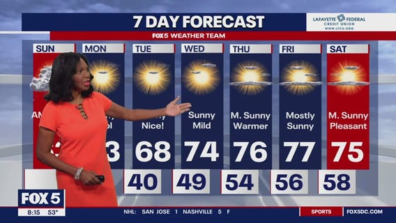 Cool, sunny week ahead