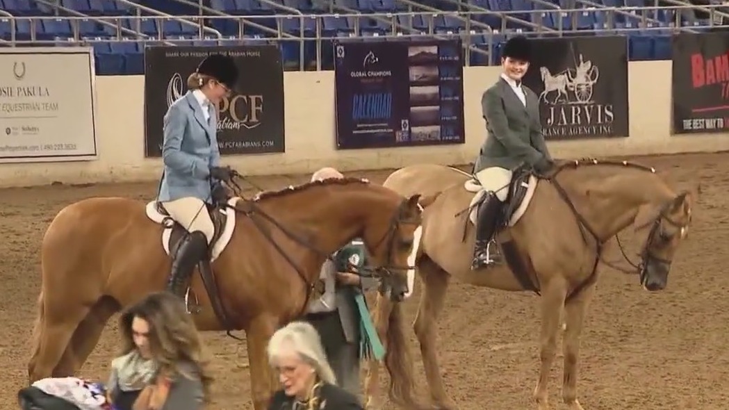 Behind-the-scenes: 70th annual Arabian Horse Show in Scottsdale