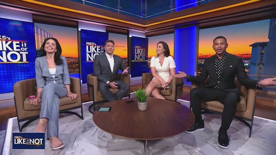 LION: December 24, 2024