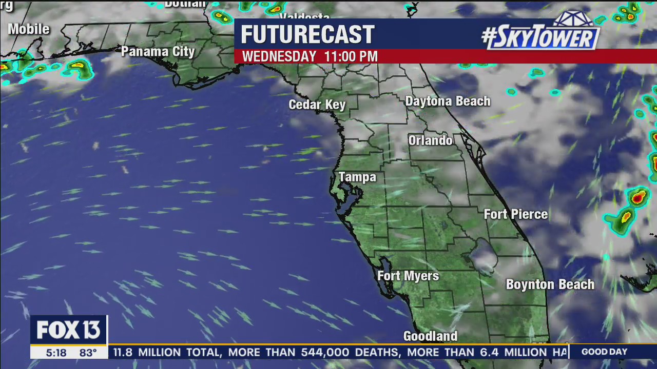 Wednesday Morning Forecast | FOX 13 Tampa Bay