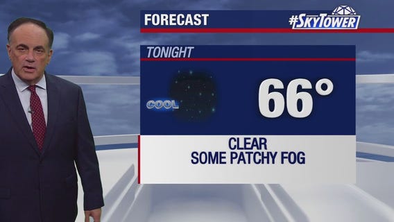 Tampa weather | Patchy fog, comfortable conditions