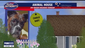 Welcome Charlie Baby