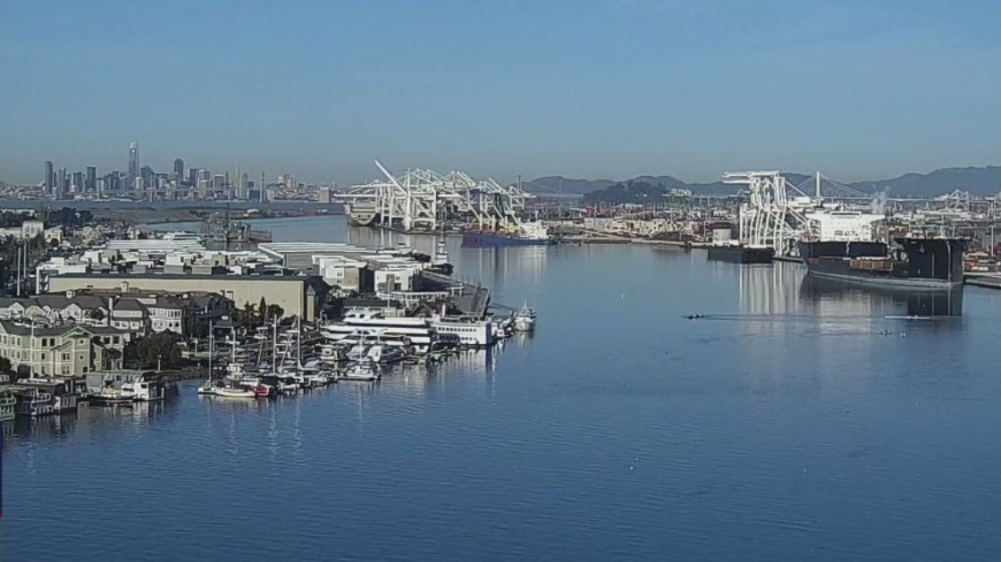 Sunshine, blue skies for holiday weekend