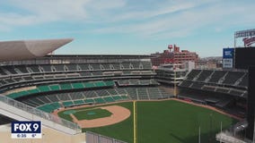 Falling bobblehead sparks bill requiring upper deck nets at Minnesota stadiums