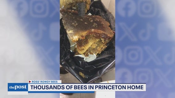 Government Shutdown, Bee Infested Home | The Post