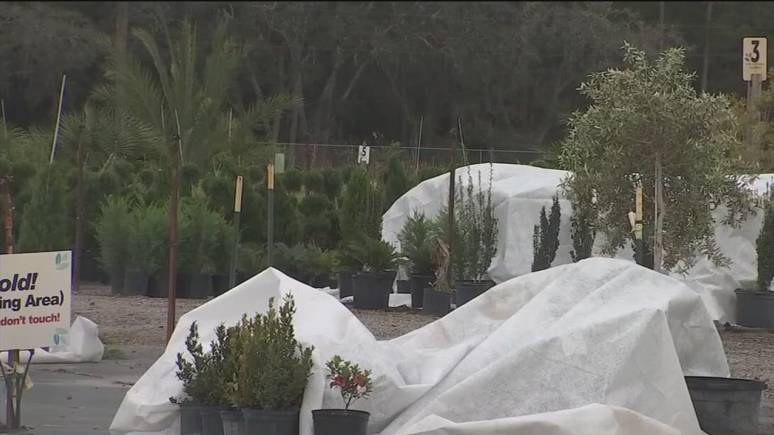 Preparing for cooler weather sweeping through the Tampa Bay area