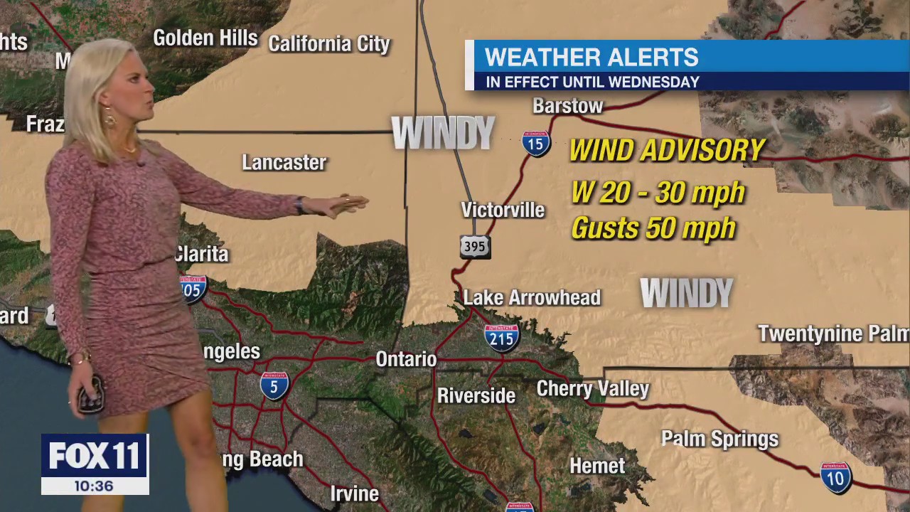 Weather Forecast for Tuesday, Oct. 10