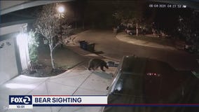 Home surveillance camera catches a bear wandering around Oakley neighborhood