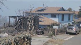 At least 36 killed on Maui as fires burn through Hawaii