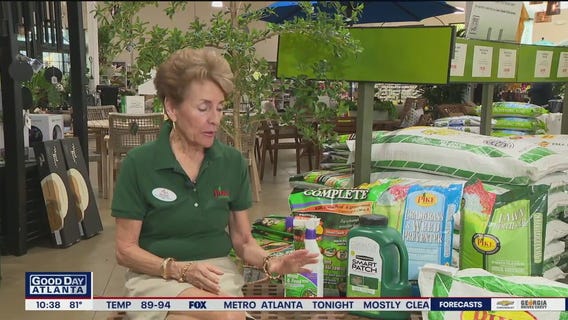 Fall lawn advice from Pike Nurseries