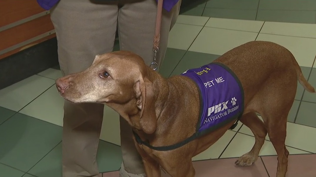 Sky Harbor brings back Navigator Buddy program
