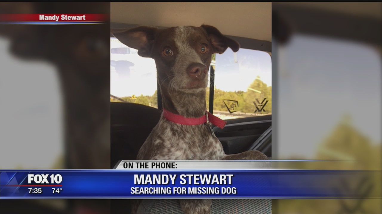 Valley family searches for missing dog