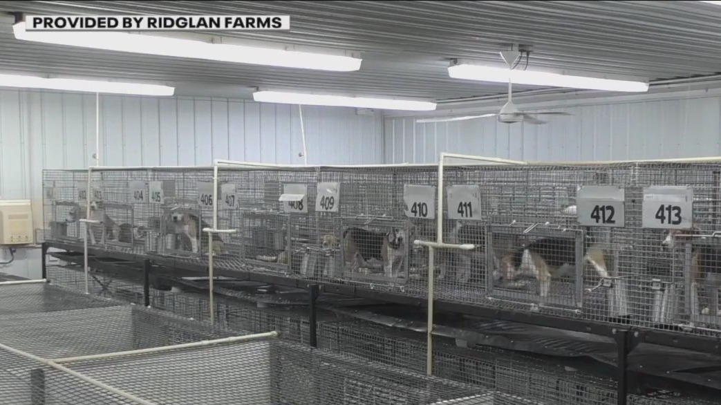 Ridglan Farms vet’s suspension upheld