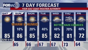Houston weather forecast for Nov. 15, 2025