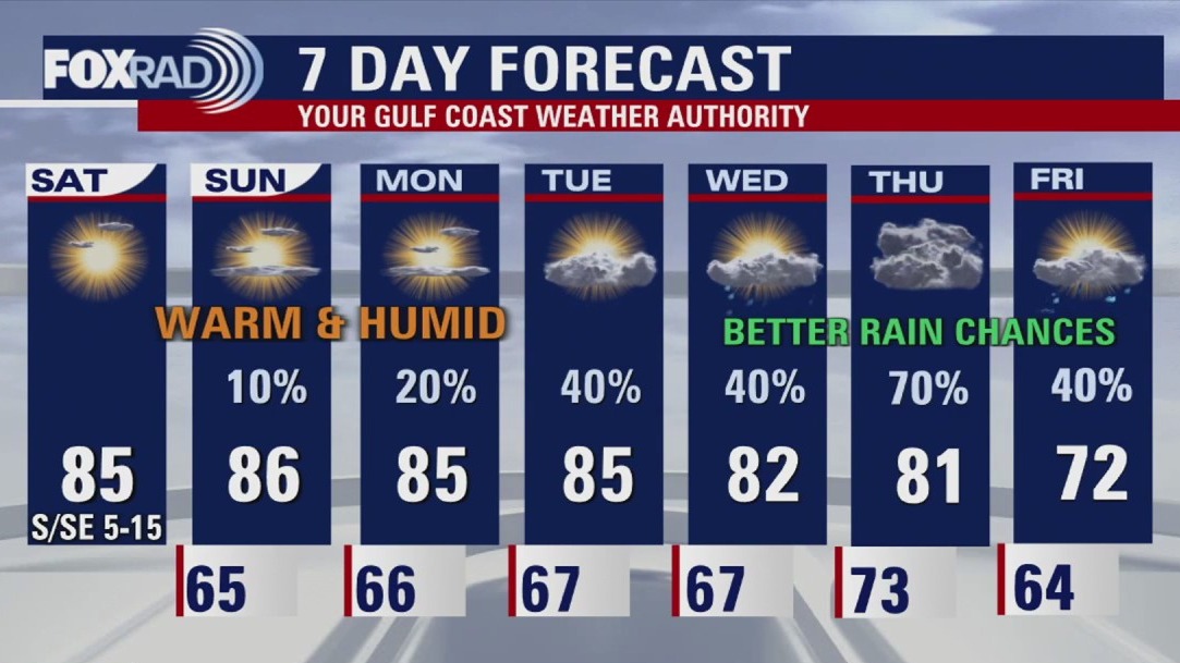 Houston weather forecast for Nov. 15, 2025