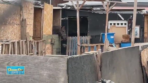 Good Day Uncut: Port Richmond Horse Stables