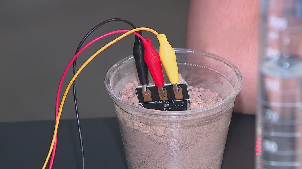 Future farmers are using AI to help grow plants